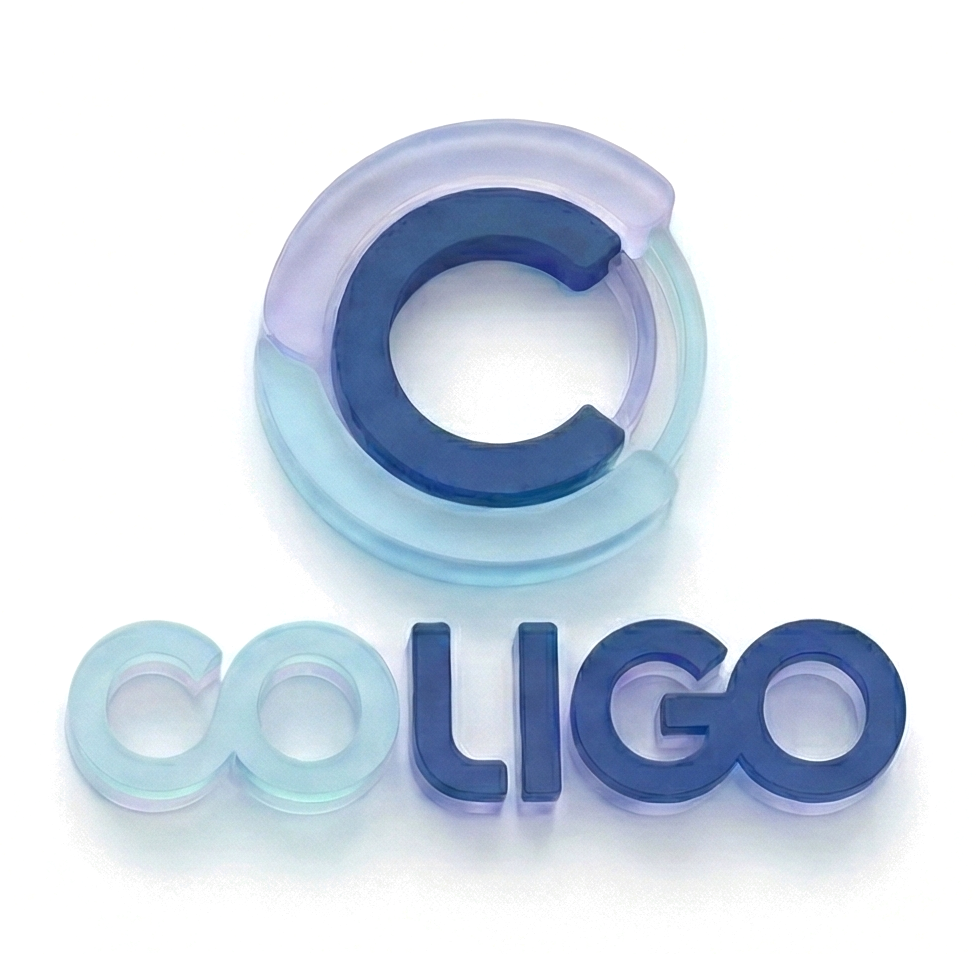 Coligo digital lending experience