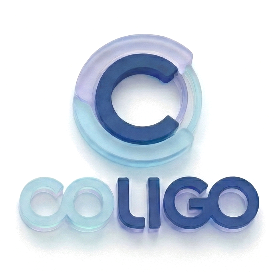 Coligo digital lending experience